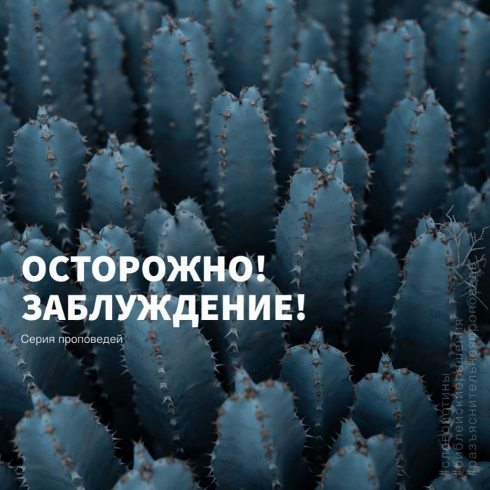 ОСТОРОЖНО! ЗАБЛУЖДЕНИЕ!
